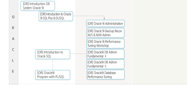 선택교육 ORACLE